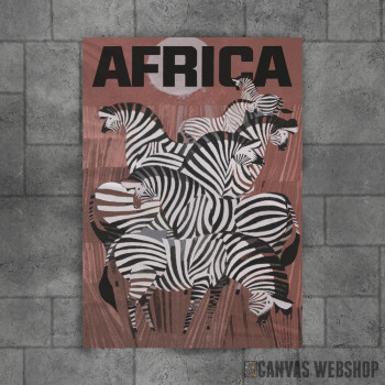 Afričke zebre Afričke zebre