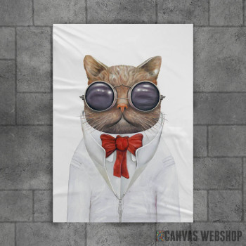 Astro Cat Astro Cat