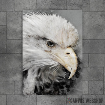 Bald Eagle Bald Eagle