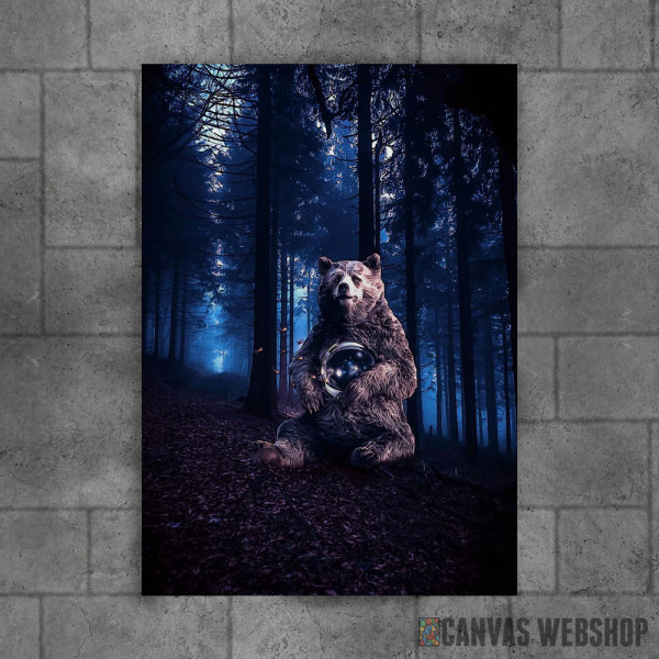 Bear and astronaut helmet