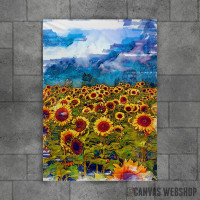 Beautiful Sunflower Field