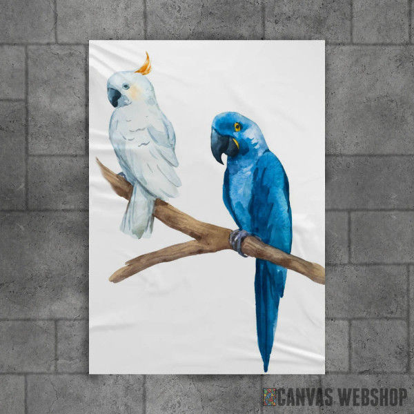 Beli i plavi papagaj