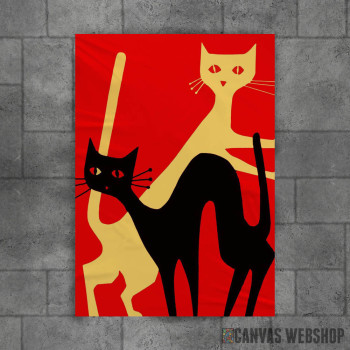 Black and White Cats