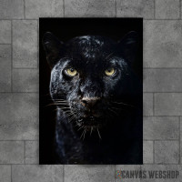 Black panther animal Black panther animal