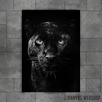 Black panther head Black panther head