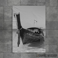 Boat On Shore