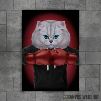 Boxer Cat Boxing Champion Boxer Cat Boxing Champion
