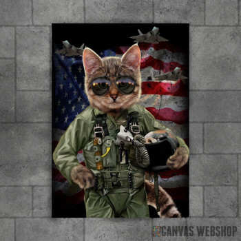 Cat Pilot in the Air Force Cat Pilot in the Air Force