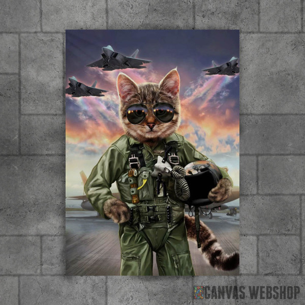 Cat the Air Force Pilot Cat the Air Force Pilot