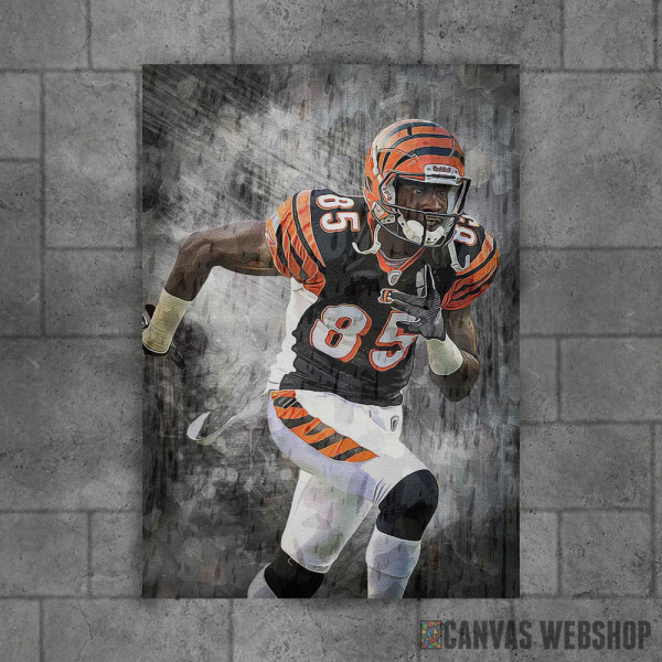 Chad Johnson Cincinnati
