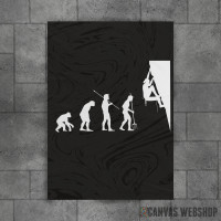 Climbing Evolution Climbing Evolution