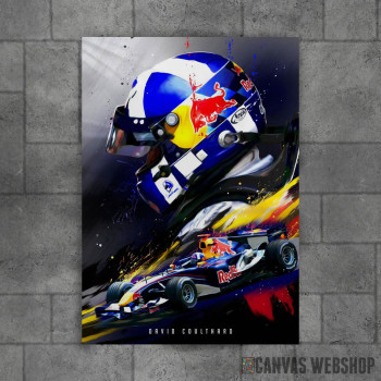 David Coulthard F1