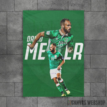 David Meyler Poster David Meyler Poster