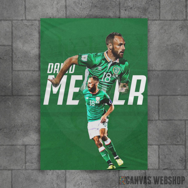 David Meyler Poster David Meyler Poster
