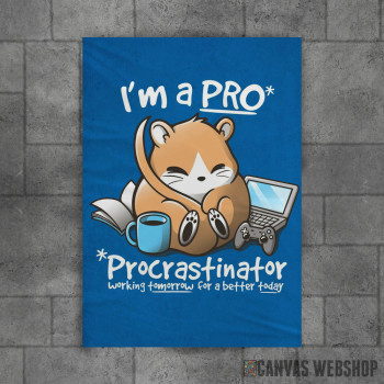 Dormouse is a PRO Dormouse is a PRO