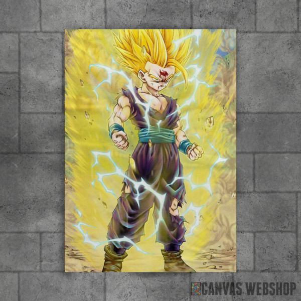 Dragon Ball5 Dragon Ball5