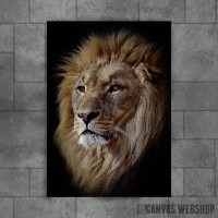 East African lion head East African lion head