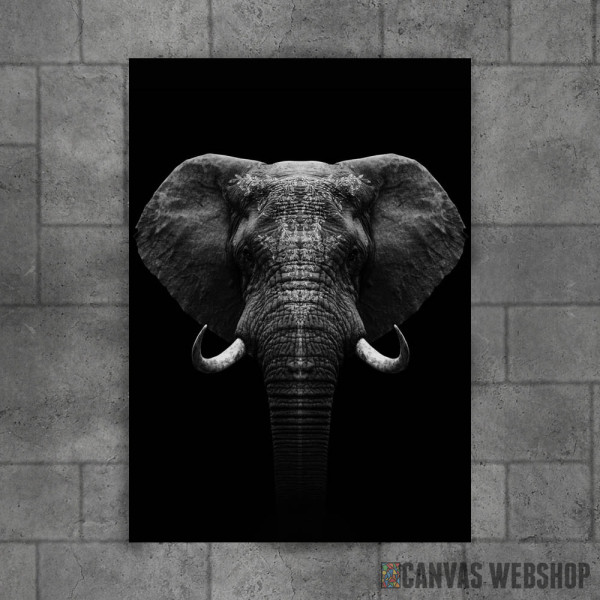 Elephant head art