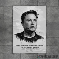 Elon Mask citat