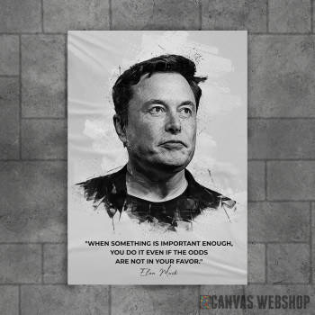 Elon Mask citat Elon Mask citat