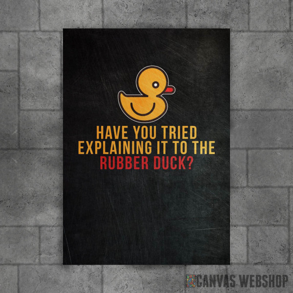 Explain it to Rubber Duck Explain it to Rubber Duck