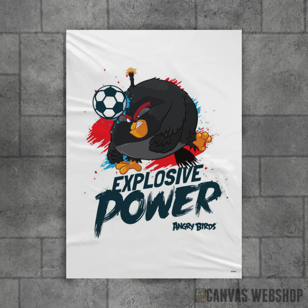 Explosive Power Explosive Power