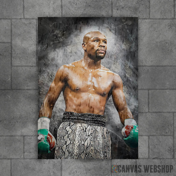 Floyd Mayweather Jr Floyd Mayweather Jr