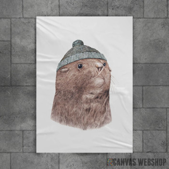 Fur Seal Fur Seal