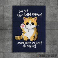 I_m not in a bad mood everyon