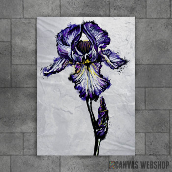 Iris Iris