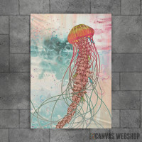 Jellyfish Jellyfish