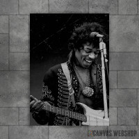 Jimi Hendrix Guitarist Jimi Hendrix Guitarist