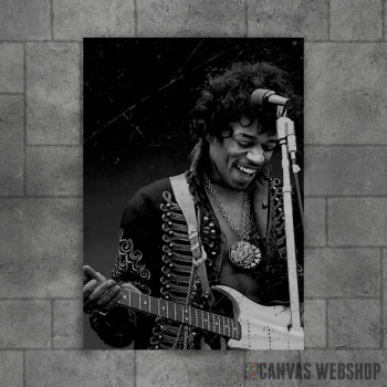 Jimi Hendrix Guitarist Jimi Hendrix Guitarist