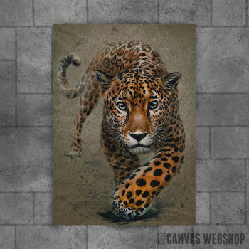 Leopard background