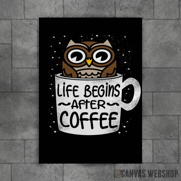 Life Begins After Coffee Life Begins After Coffee