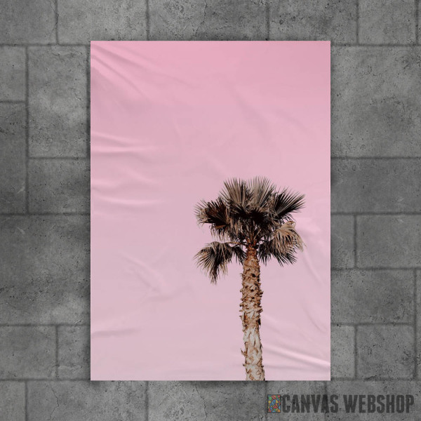 Lonely Palm