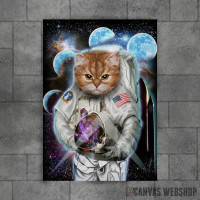 Mačka istražuje svemir