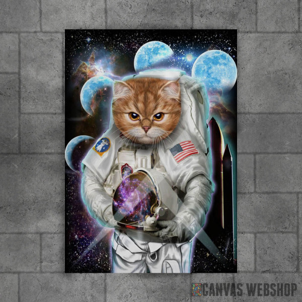 Mačka istražuje svemir