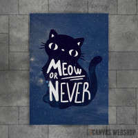 Meow or never