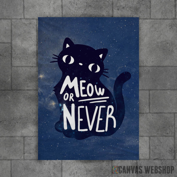 Meow or never