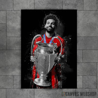 Mohamed Salah Mohamed Salah