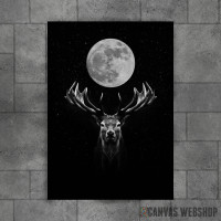 Moon Deer Moon Deer