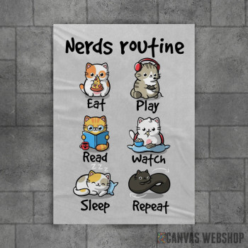 Nerds routine Nerds routine