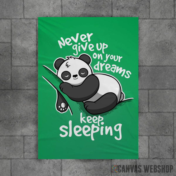 Never give up on your dreams, keep sleeping