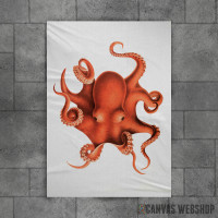 Octopus Watercolor