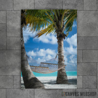 Palm Beach With Hammock Palm Beach With Hammock