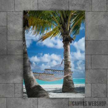 Palm Beach With Hammock Palm Beach With Hammock
