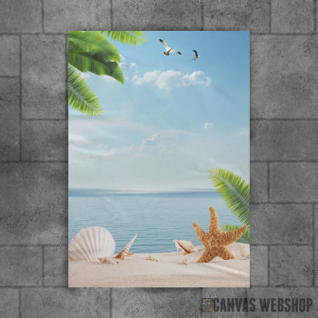 Palm Beach With Seashells