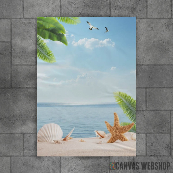 Palm Beach With Seashells Palm Beach With Seashells