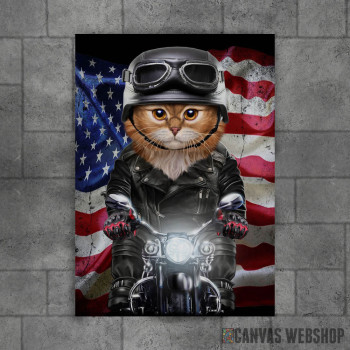 Patriot Cat on Motorcycle Patriot Cat on Motorcycle